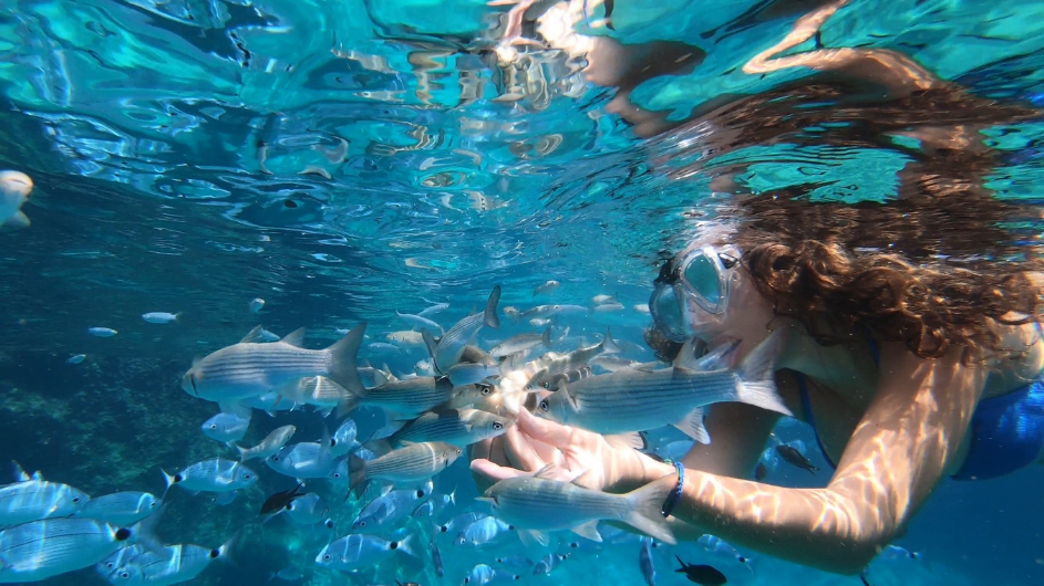 Swimming with the fishes in the protected marine area of Plemmirio, in the city of Siracusa, Italy. Chiara snorkeling in blue water with fish coming up to her extended hands