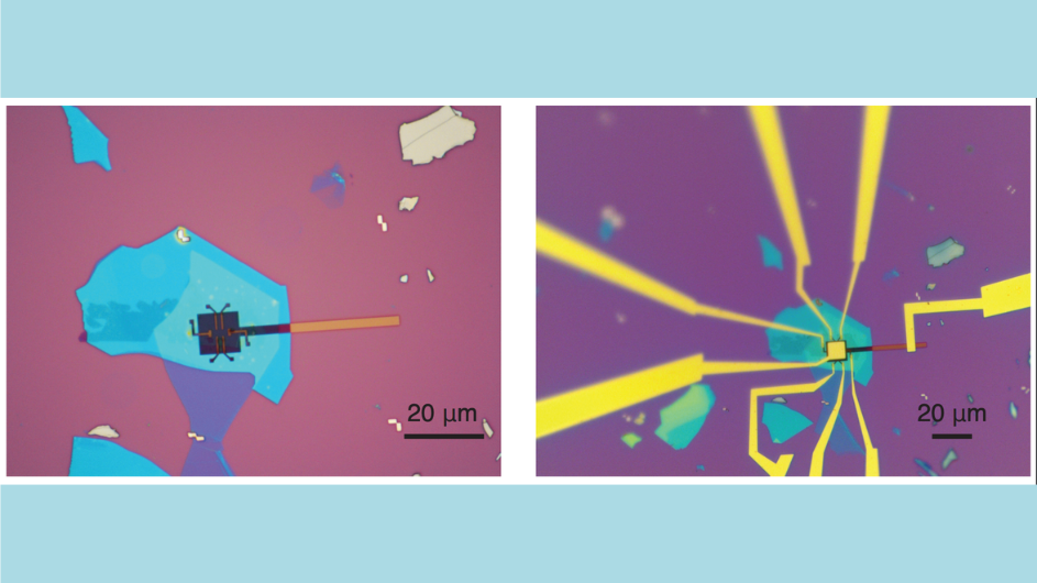 Researchers at Columbia for the first time demonstrate the coexistence of superconductivity and ferroelectricity, two properties thought to be incompatible with one another, in bilayer molybdenum ditelluride. Drawing on this discovery, they create a superconducting switch controlled by an external voltage which has potential applications in quantum computing and single-photon detectors. This material is extremely air-sensitive and needs encapsulation in an inert environment to probe its properties in the ambient. Here is an image of the device used in the experiment. Image of the MoTe2 device used in the paper