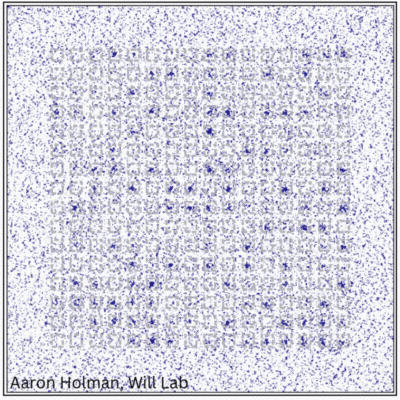 Those flashes? Individual Strontium atoms captured by the optical tweezers in the Will Lab. Credit: Aaron Holman GIF of the strontium atoms captured in a tweezer array