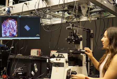 Victoria in the lab