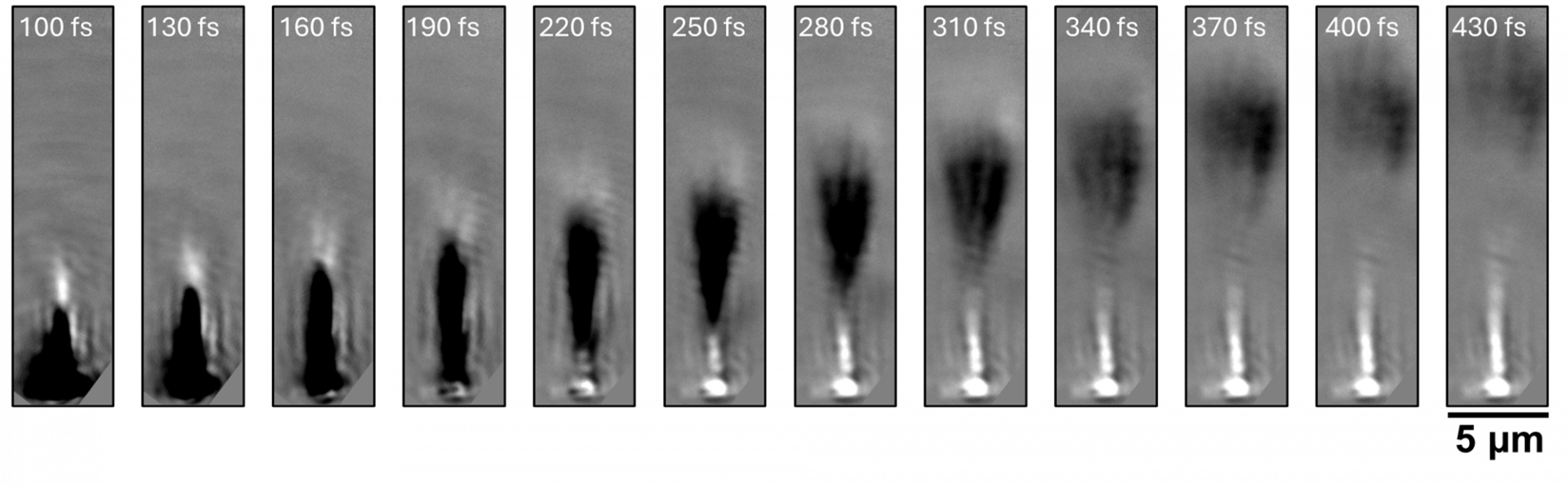 My favorite image from my research is this time series showing a light propagating through a MoS₂ flake. These snapshots were captured using our ultrafast microscope, where the light wavepacket appears as a region of dark contrast. With carefully tuned experimental conditions, we were able to visualize its motion in real time as it travels from the bottom to the top of the flake over a few hundred femtoseconds. It’s one of those rare moments where you can actually track light with light, unfolding frame by frame. --Ding Xu Proagating polariton panels